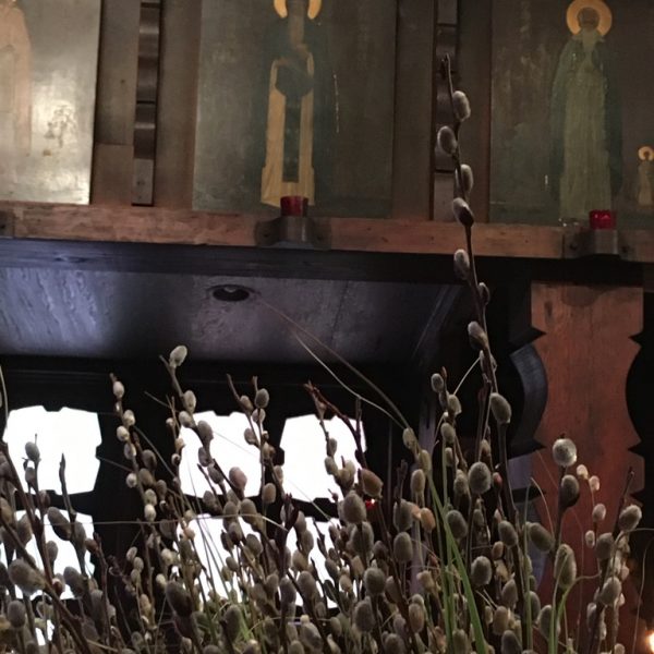 Thumbnail for Palm Sunday